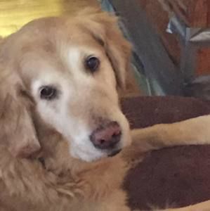 Meet your Posher, Audra